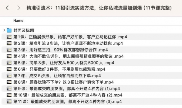 精准引流术：11招引流实战方法，让你私域流量加到爆 1.5G