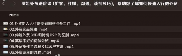 凤姐外贸进阶课（扩客，社媒，沟通，谈判技巧），帮助你了解如何快速入行做外贸 2.6G