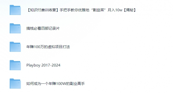 【副业项目大合集】花花公子从副业到财富：如何成为年赚200W的高手 [44G]